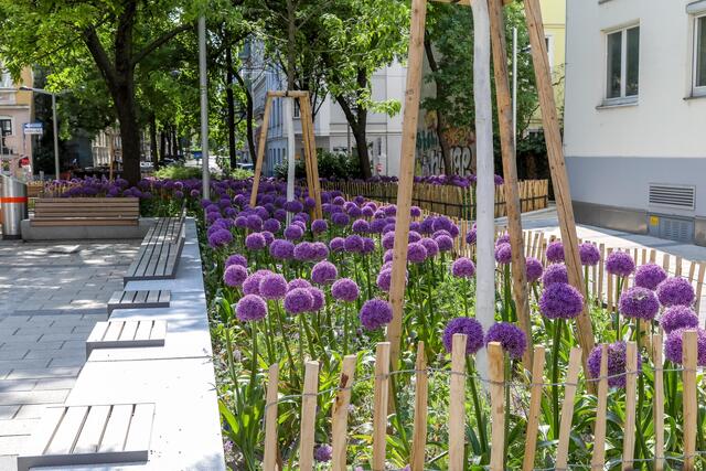 Zwischen den Blumenbeeten verläuft schon jetzt ein Radweg. | Foto: MA28/Christian Fürthner