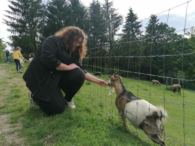 Stefanie aus Wien entdeckt bei einem Ausflug nach Purkersdorf den Wienerwald und den Naturpark. | Foto: Geiger