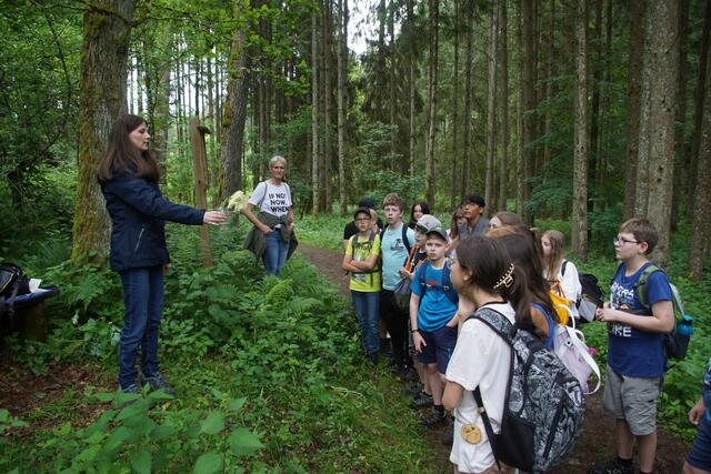 Bei Tanja Pumberger-Windhager mussten Bäume und Sträucher des Waldes zugeordnet werden. | Foto: Helmut Eder
