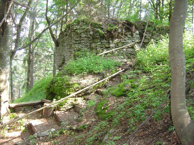 Die Ruine am Weinsberg kann bei einer Wanderung besichtigt werden. | Foto: Gemeinde Allentsteig