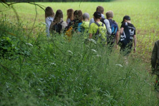 Foto: Helmut Eder