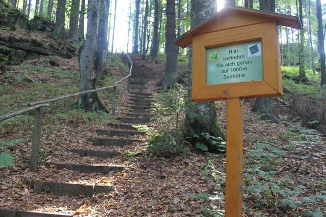 Der Aufstieg auf den Weinsberg bei Bärnkopf | Foto: Gemeinde Bärnkopf