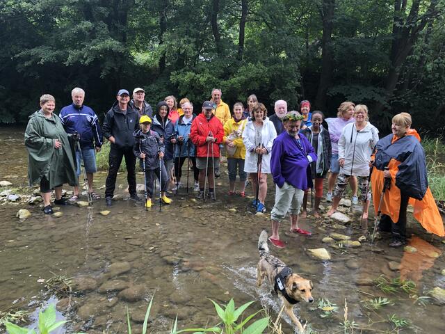 Wildwasserwandern in der Schwechat | Foto: Stockmann