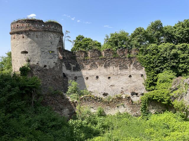 Ruine Hohenegg | Foto: Martina Schweller