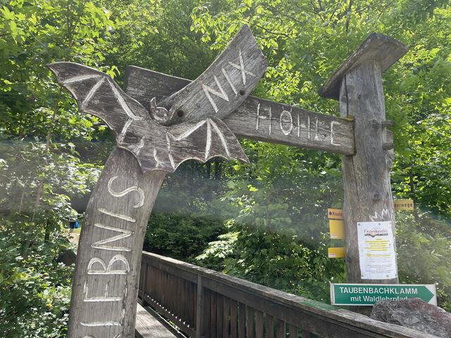 Nixhöhle Frankenfels  | Foto: Martina Schweller