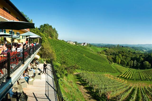 Laut Voting von Falstaff punktet das Weingut Repolusk mit schönster Aussicht. | Foto: © Werner Krug derkrug.at