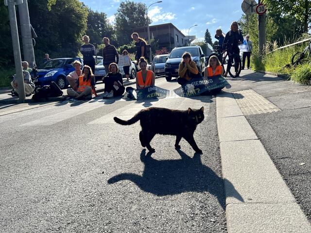Nicht alle können die Blockademaßnahmen so locker sehen. | Foto: zeitungsfoto.at