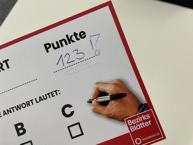 123 Punkte schaffte Regionautin Doris an der Dartscheibe.  | Foto: sm