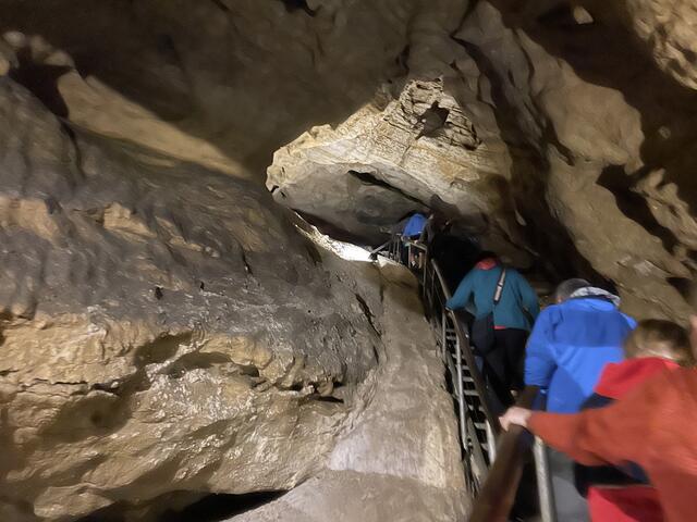 Über 1000 Stiegen gibt es zu überwinden | Foto: Martina Schweller