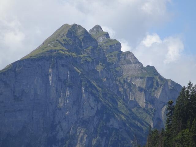 Alpwanderung Schönenbach | Foto: Jochen Campestrini, Roland Schmid