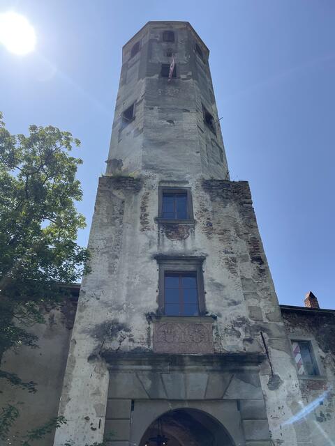 Burgruine Hohenegg | Foto: Martina Schweller
