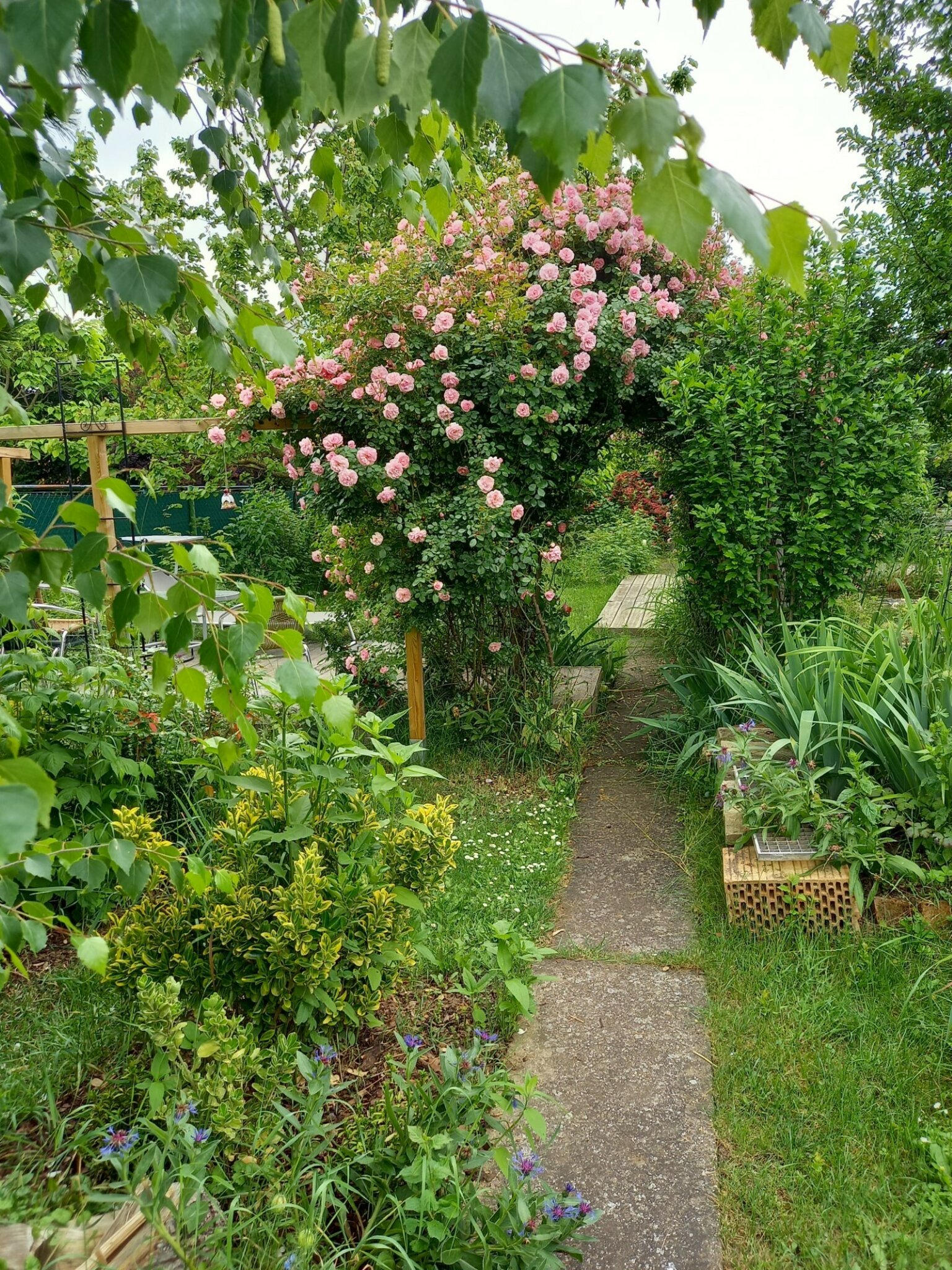 Niederabsdorf Von der Wiese zum Naturgarten Gänserndorf