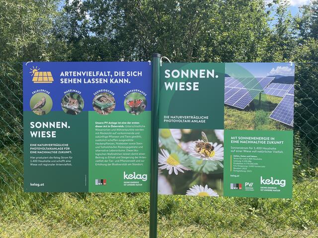 Die „Sonnen.Wiese" ist als natürliche Wiese mit besonders artenreichen Magerwiesenstreifen gestaltet. | Foto: RegionalMedien