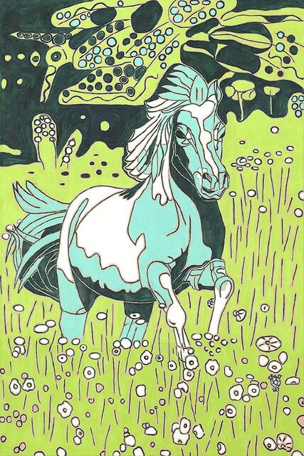 LOMASI aus der Serie WILD HORSES von Eva Bur am Orde | Foto: Eva Bur am Orde