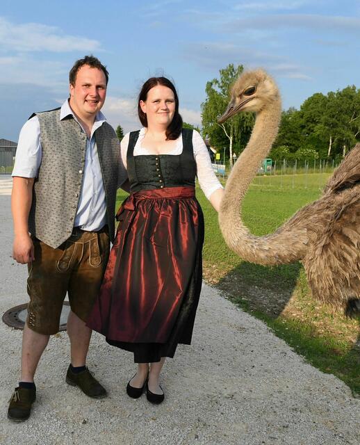 Michael Eschlböck-Bauer und Michaela Schimek vom Gasthaus Reihofer in Wels betreiben ihre eigene Straußenfarm. | Foto: Gasthaus Reihofer