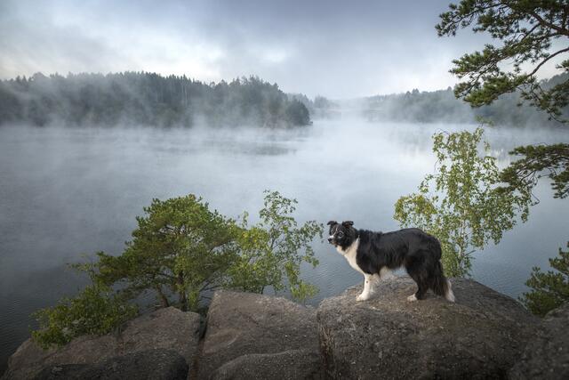 Auch bei Schlechtwetter ist der Stausee ein Naturschauspiel. | Foto: Anne Geier Fotografie