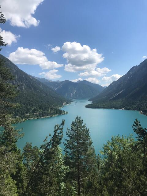Blick von oben auf den Plansee, der sich wie ein großer Fjord präsentiert. | Foto: Reichel