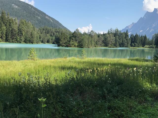 Der Blindsee liegt in Biberwier, nahe des Fernpasses. Trotzdem bietet das Gewässer größtmöglichen Erholungswert. | Foto: Reichel