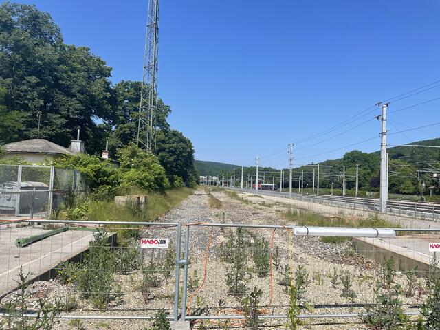 Hier könnte ein Provisorium mit Turnsaal entstehen - das ist die Idee von Pro-Purkersdorf | Foto: Geiger