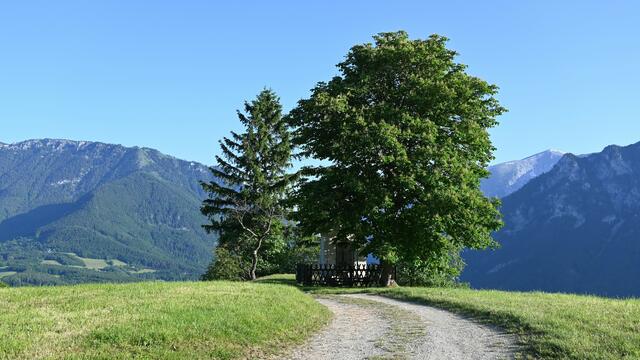 Stojerhöhe mit Ausblick auf Rax und Schneeberg