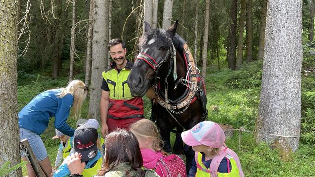 Dass in manchen Gebieten für Holztransporte auch noch Pferde eingesetzt werden, dazu konnte Andreas Hackl vom Haimingerberg einiges erzählen: Der Förster der BH Imst kam mit seinem Percheron-Wallach Wickie nach Rietz. 