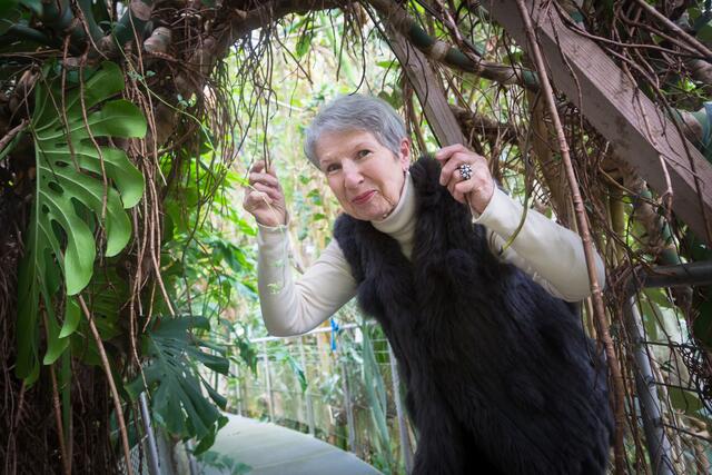 Die Natur erlebt Frischmuth (hier auf einem Archivbild im Botanischen Garten) als Kraftquelle. Ihr Garten bedeutet für sie ihr "irdisches Glück". | Foto: Konstantinov