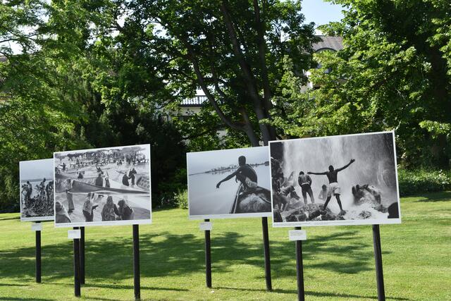 Die Fotoausstellung im Doblhoffpark in Baden. | Foto: Preineder