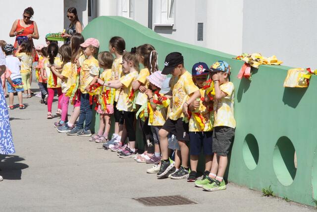 Foto: M. Lawugger
