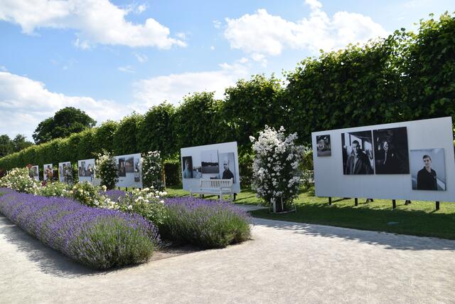 Die Fotoausstellung im Rosarium im Doblhoffpark in Baden. | Foto: Preineder