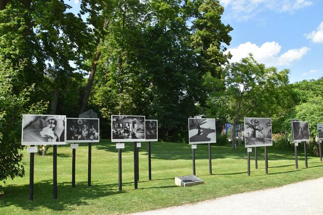 Die Fotoausstellung im Doblhoffpark in Baden. | Foto: Preineder