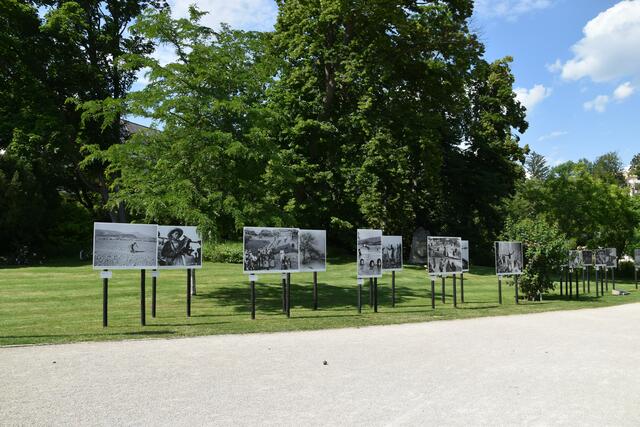Die Fotoausstellung im Rosarium im Doblhoffpark in Baden. | Foto: Preineder