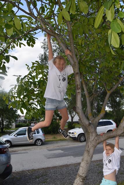 Foto: Michael Strini