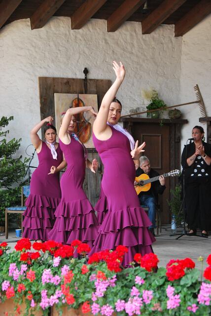 Die MusikerInnen aus dem Gastland Andalusien zeigten Flamenco vom Feinsten und brachten Abwechslung in das Festival. | Foto: Königer