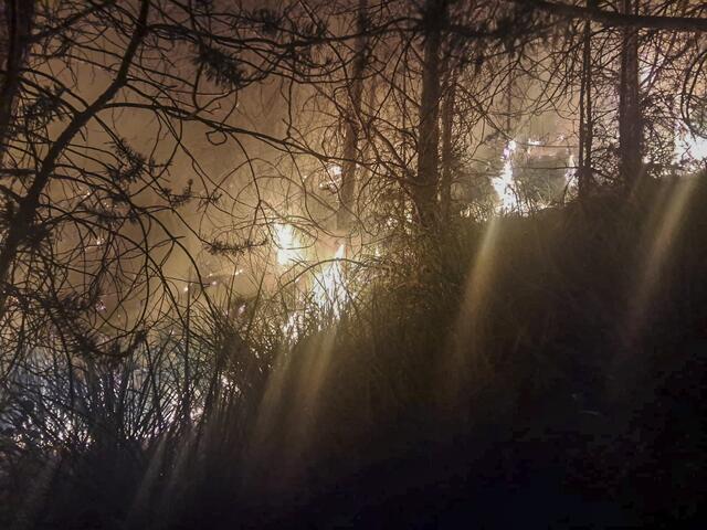 Der Wald oberhalb von Simmering stand in Brand. Um 23:26 wurde Brandaus gegeben. | Foto: zeitungsfoto.at