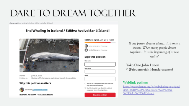 "Rettet die Wale" Petition, Iceland | Foto: Tatjana Christelbauer