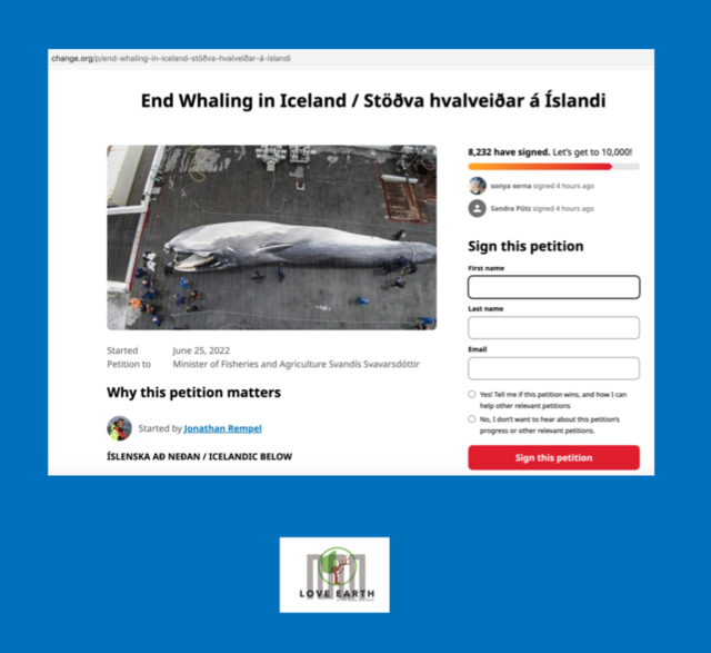 Petition signed for "End Whaling in Iceland" by ERASMUS+ project team LeMOON | Foto: Tatjana Christelbauer
