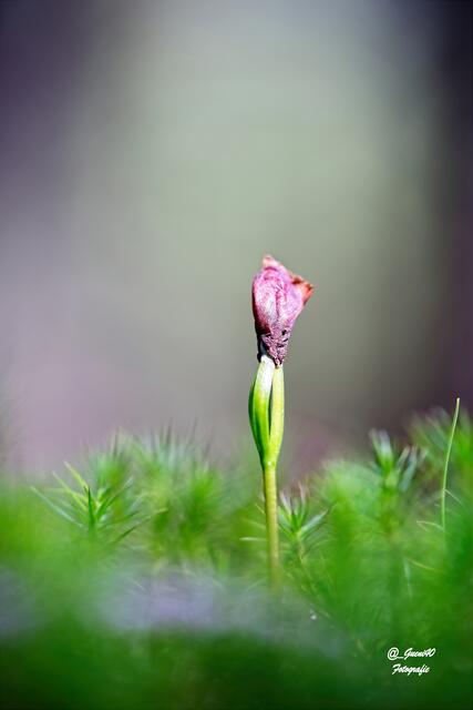 ......so alleine muss ich da stehen ......
