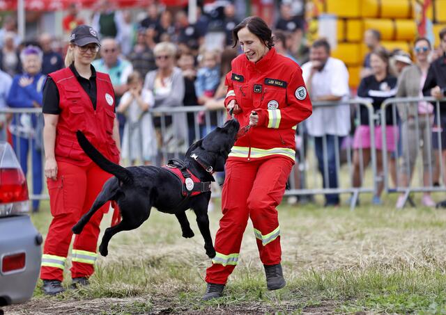 Mensch und Hund als Team: Auch die Rettungshundebrigade nahm am Tag der Spezialkräfte in Kraubath teil. | Foto: FF Kraubath