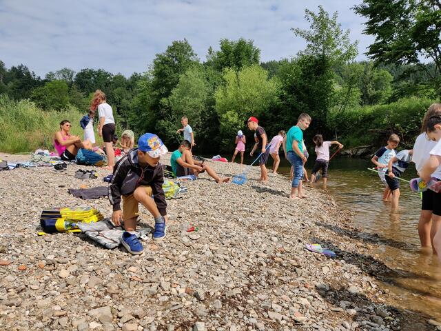 Die Kinder beobachteten, sammelten und entdeckten diesen besonderen Lebensraum. | Foto: Kristöfl