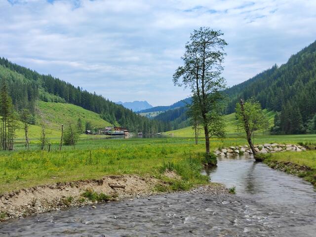 Blick zum Forellenhof... Im Hintergrund zu sehen die ,,Kammspitze" | Foto: I.Wozonig