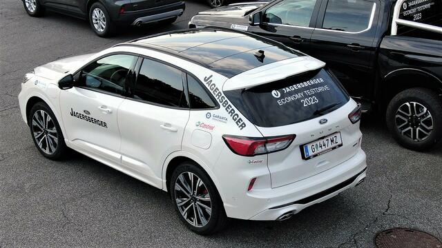 Alle Ford-Größenordnungen waren bei der Rallye dabei. | Foto: Jagersberger