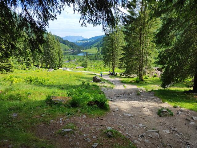 Jetzt geht es zum Wasserfall hinauf... | Foto: I.Wozonig