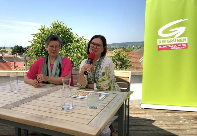 Regina Petrik und Margit Paul-Kienzl (v.l.). | Foto: Grünen