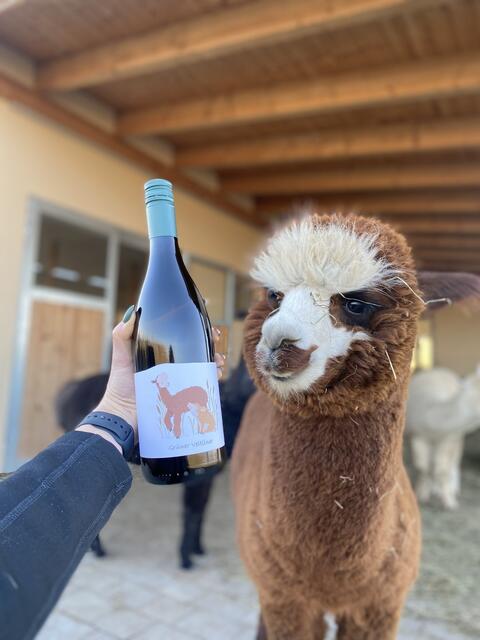 Natürlich dürfen auf einem Weingut auch kühle Tropfen nicht fehlen. | Foto: Weingut Alpakahof Pinetz