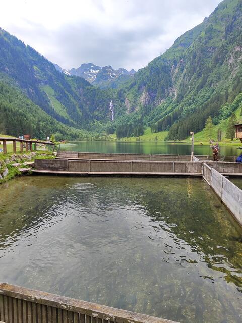 Die Fischzucht am Forellenhof.. | Foto: I.Wozonig