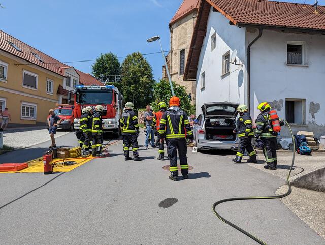 Foto: fotokerschi.at/Brandstätter &amp; Panchuk