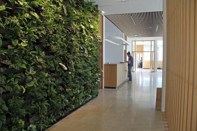 Pflanzen im Gebäude sorgen für gute Luft und erfreuen das Auge. | Foto: Land Salzburg/Melanie Hutter