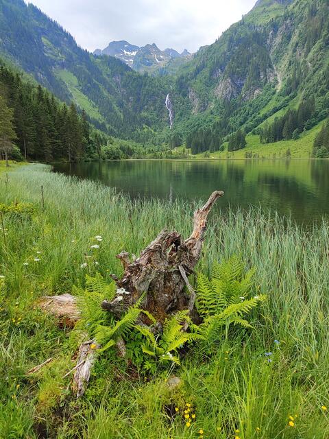 Einfach zum Genießen... | Foto: I.Wozonig