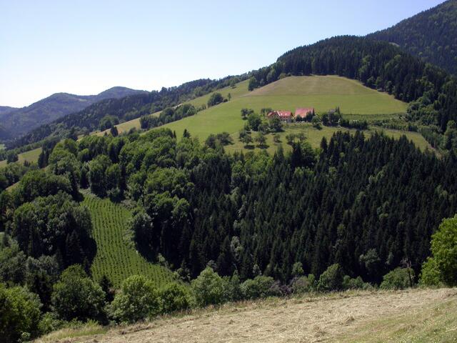 Der Boden der Steiermark ist fruchtbar, und gefährdet. Die "Grüne Mark" ist vor allem durch Wälder geprägt, hat aber noch viel Potenzial, um einen Austausch der Arten zu gewährleisten. | Foto: Privat