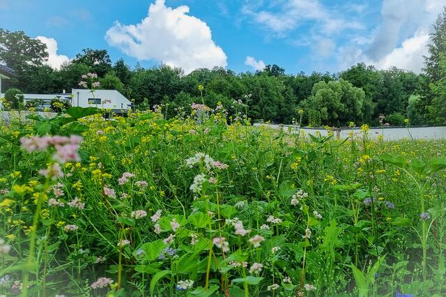 Foto: Marktgemeinde Wallern an der Trattnach